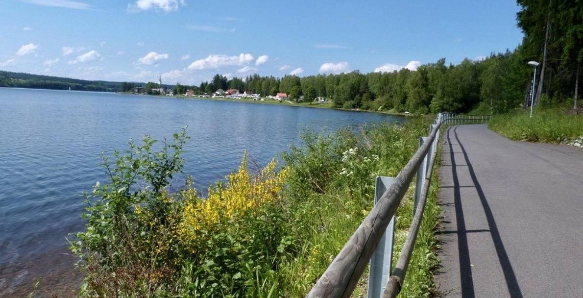 Holiday House Lipno-Slupecna Lipno nad Vltavou Dış mekan fotoğraf