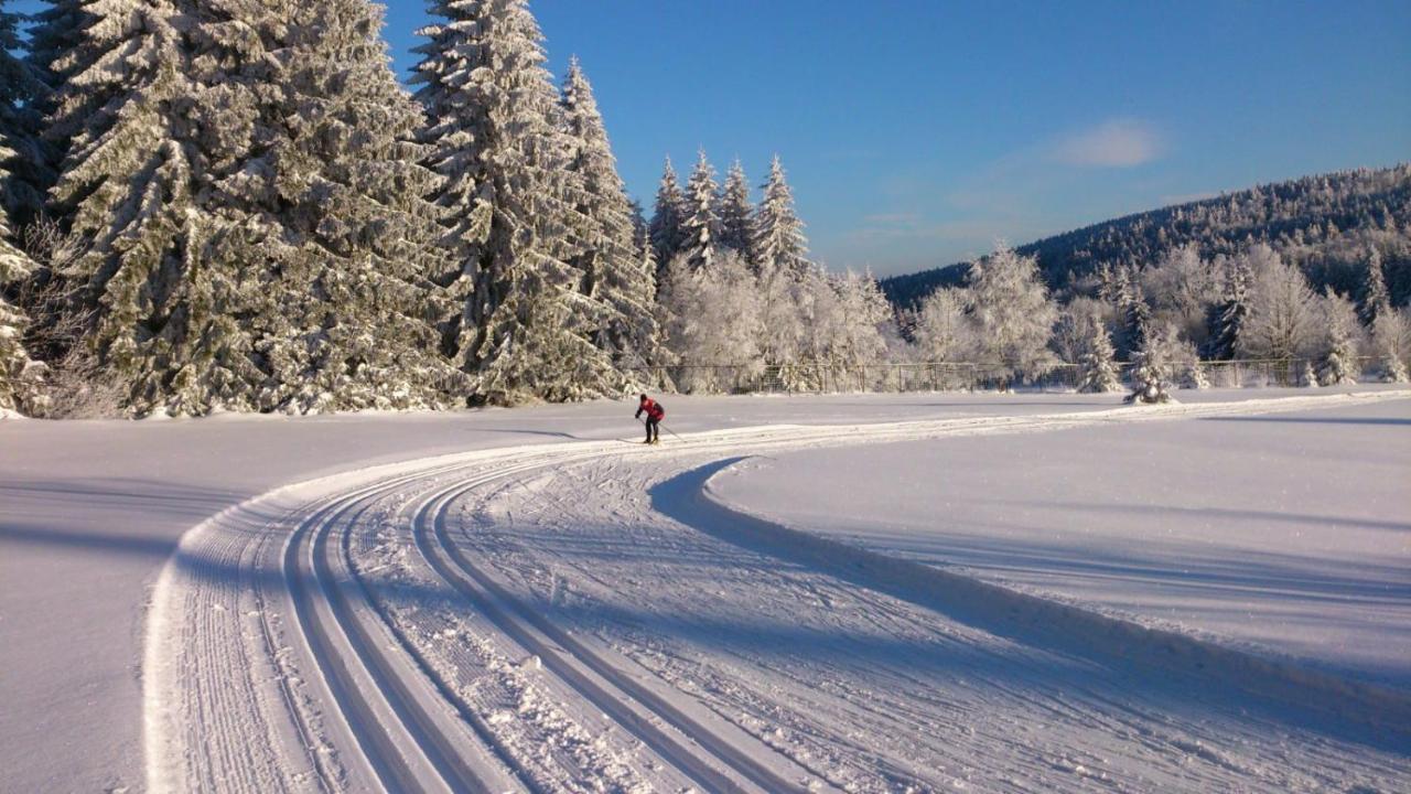 Holiday House Lipno-Slupecna Lipno nad Vltavou Dış mekan fotoğraf