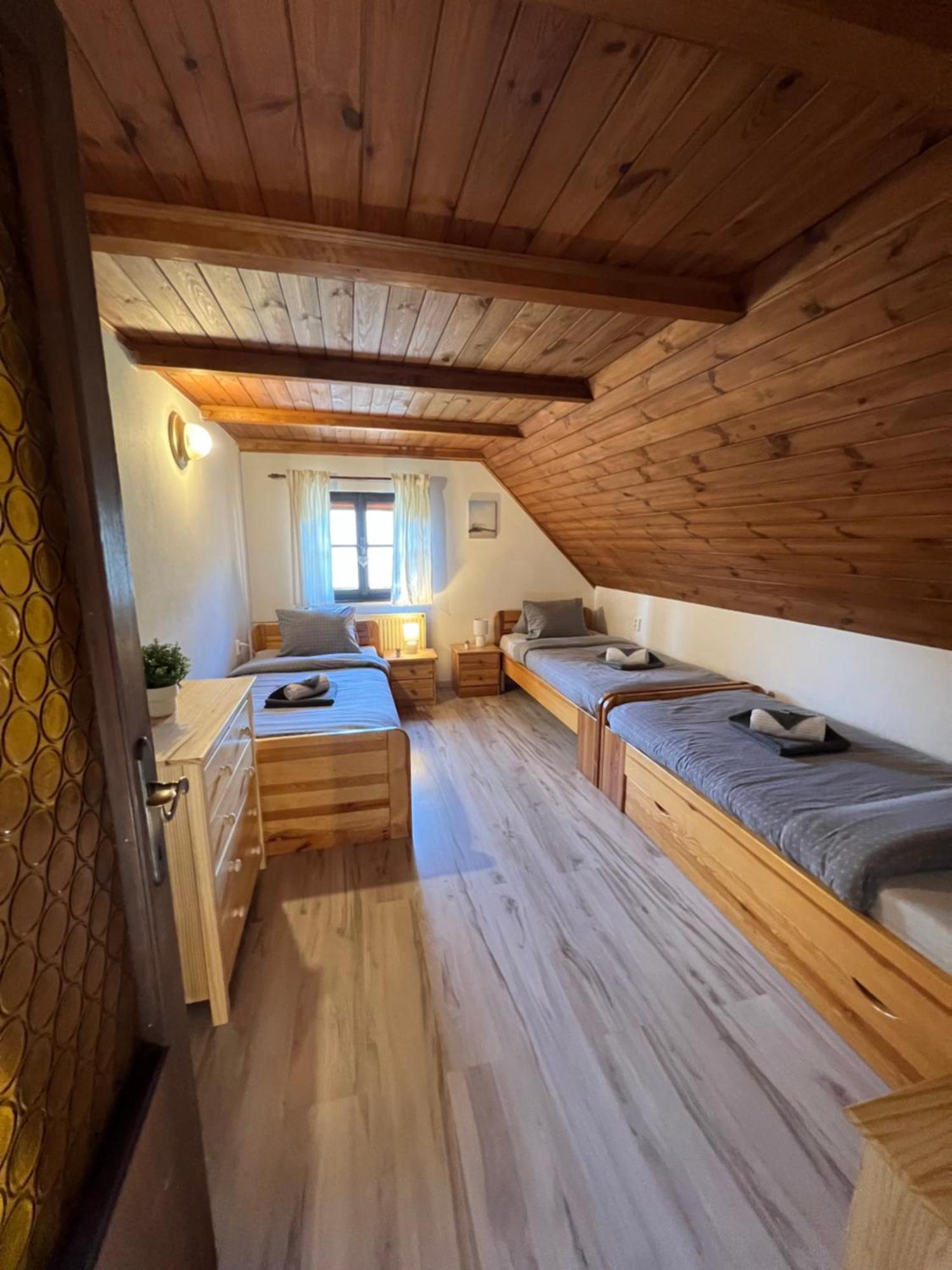 Holiday House Lipno-Slupecna Lipno nad Vltavou Dış mekan fotoğraf